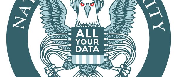 EFF goes after NSA - Sputnik Brasil