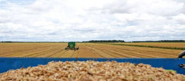 Colheita de grãos no Vale do Araguaia, Tocantins - Sputnik Brasil