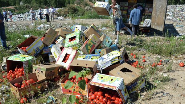 Tomates proibidos a entrar a Rússia foram destruídos na fronteira com a Bielorrússia, na região da cidade de Smolensk - Sputnik Brasil