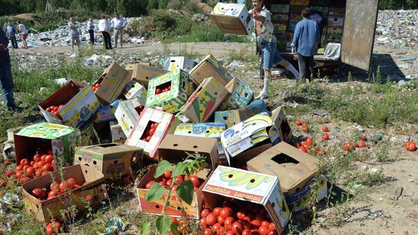 Tomates proibidos a entrar na Rússia foram destruídos na fronteira com Belarus, cidade de Smolensk - Sputnik Brasil