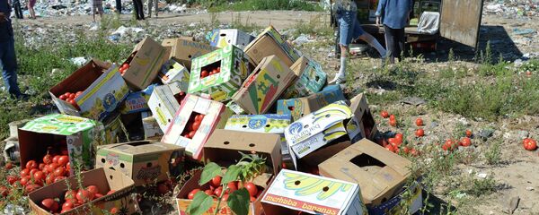 Tomates proibidos a entrar a Rússia foram destruídos na fronteira com a Bielorrússia, na região da cidade de Smolensk - Sputnik Brasil