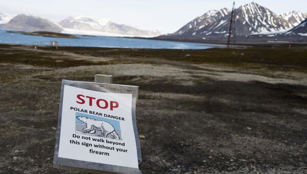 O arquipélago Svalbard - Sputnik Brasil