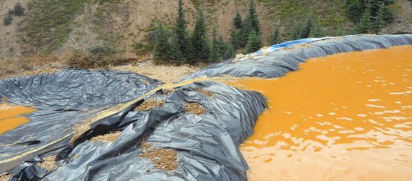 Rio no Colorado após vazamento de material tóxico. - Sputnik Brasil