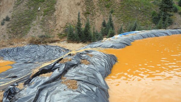 Rio no Colorado após vazamento de material tóxico. - Sputnik Brasil