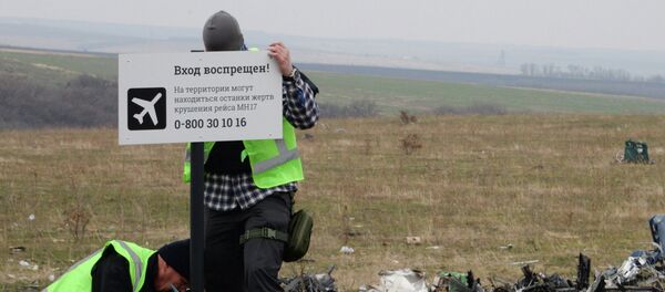 Investigadores internacionais trabalham no lugar do acidente do voo MH17 - Sputnik Brasil