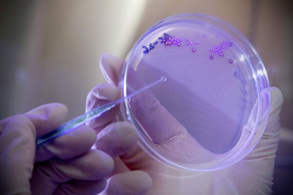 Micróbios militarizados? Pentágono está criando bactérias para detectar explosivos no subsolo - Sputnik Brasil