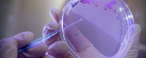 Bactéria - Sputnik Brasil