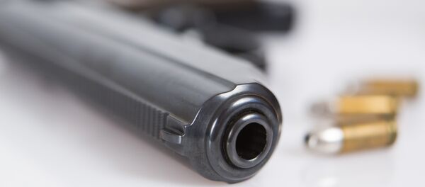 Pistola com munições - Sputnik Brasil