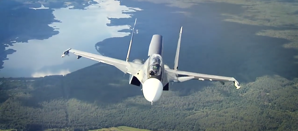 Su-30CM - Sputnik Brasil