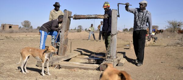 Agricultura na África - Sputnik Brasil