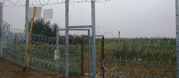 Cerca de arame farpado erguida na fronteira entre Sérvia e Hungria - Sputnik Brasil