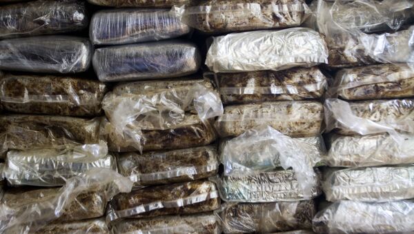 Foto de arquivo. 21 de março de 2013. Mais de 700 quilos de cocaína detidas em Santo Domingo (República Dominicana) - Sputnik Brasil