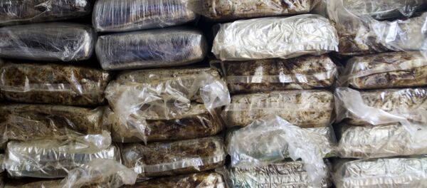 Foto de arquivo. 21 de março de 2013. Mais de 700 quilos de cocaína detidas em Santo Domingo (República Dominicana) - Sputnik Brasil