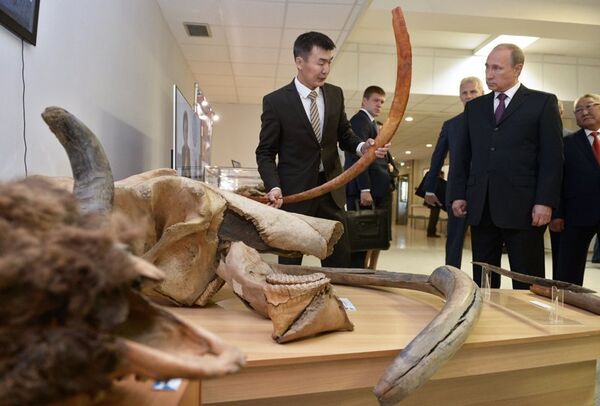 Presidente da Rússia, Vladimir Putin, discute com cientistas o problema da clonagem de animais extintos durante visita ao Museu Lazarev do Mamute em setembro de 2014. - Sputnik Brasil