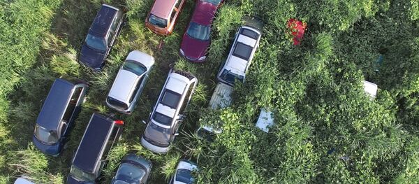 Cidade fantasma de Fukushima: 4 anos após a catástrofe nuclear - Sputnik Brasil