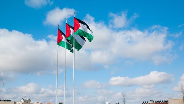 Флаги Палестины - Sputnik Brasil