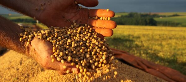 Soja Soja - Sputnik Brasil