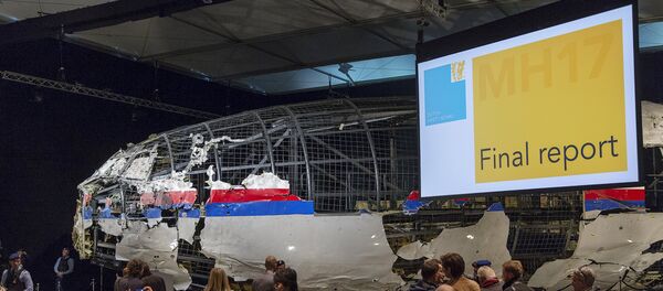 Fragmentos do avião MH17 durante apresntação de relatório na Holanda - Sputnik Brasil