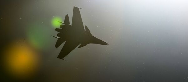 Caça Sukhoi Su-30SM - Sputnik Brasil