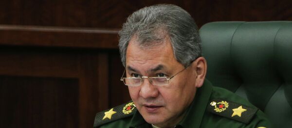 Ministro da Defesa russo Sergei Shoigu - Sputnik Brasil