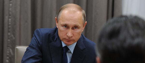 Encontro entre Vladimir Putin e vice-chanceler alemão Sigmar Gabriel - Sputnik Brasil