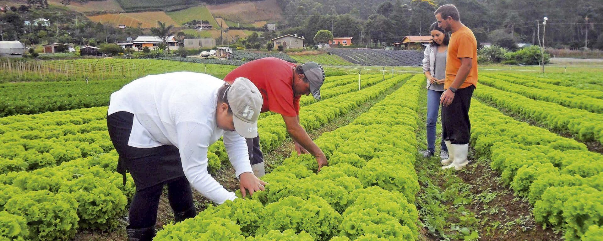 Agricultura familiar - Sputnik Brasil, 1920, 29.05.2024