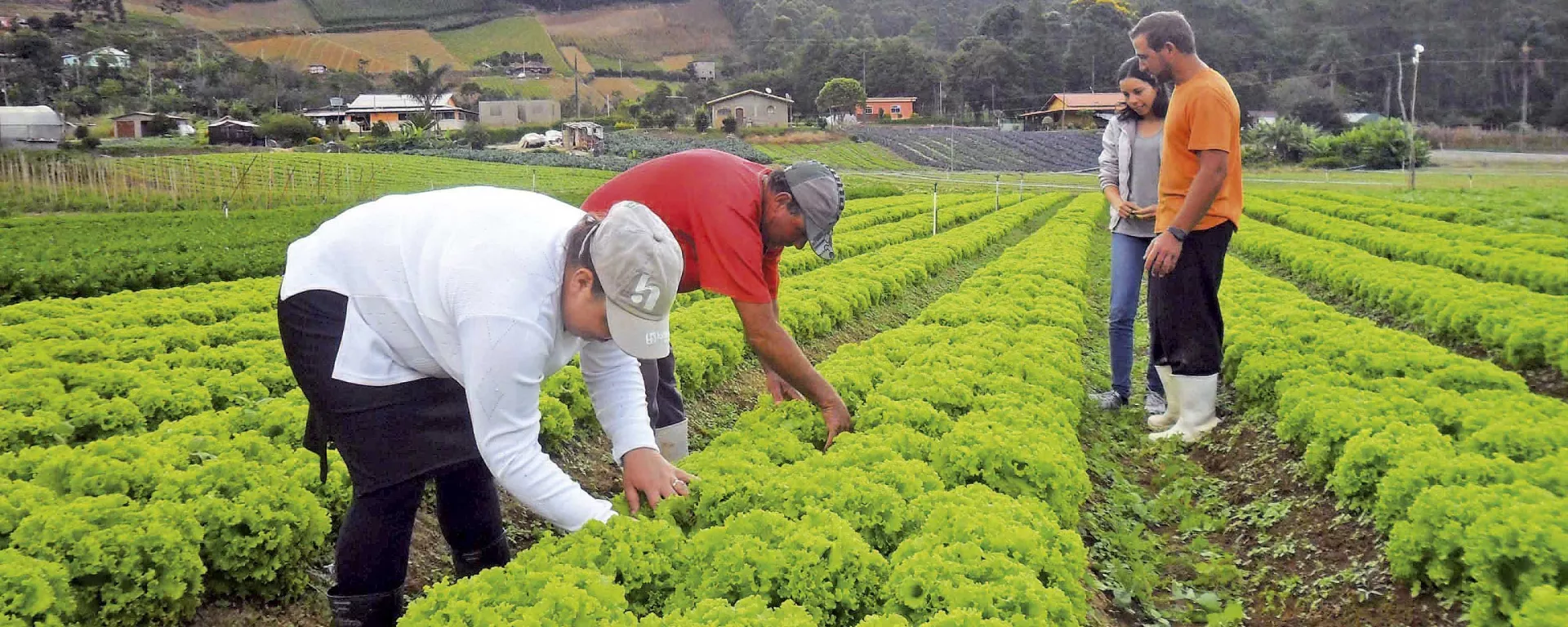 Agricultura familiar - Sputnik Brasil, 1920, 03.05.2024