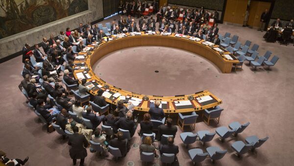 Reunião do Conselho de Segurança da ONU - Sputnik Brasil