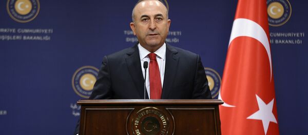 Mevlut Cavusoglu, ex-chanceler turco - Sputnik Brasil