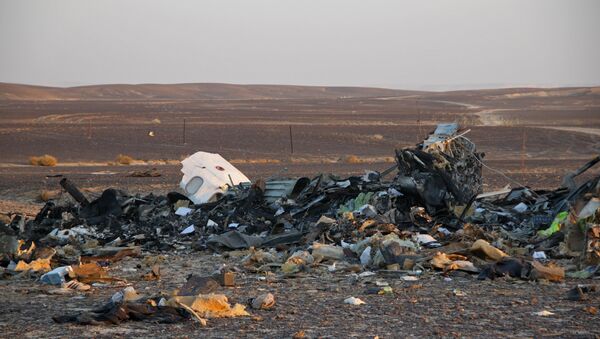 Operação para encontrar e recuperar os corpos das vítimas no local do acidente do Airbus A321 russo no Egito, 3 de novembro de 2015 - Sputnik Brasil