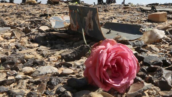 Uma rosa no local do acidente do avião russo Airbus A321 no Egito - Sputnik Brasil