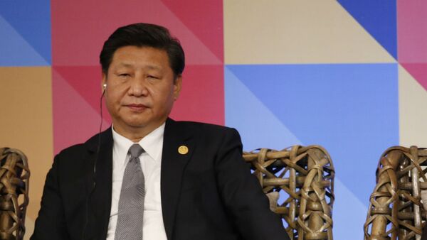 Xi Jinping, durante a 23ª Cúpula da APEC. - Sputnik Brasil
