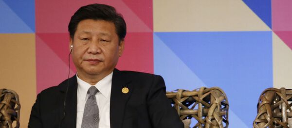 Xi Jinping, durante a 23ª Cúpula da APEC. - Sputnik Brasil
