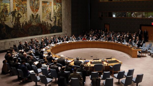 Reunião do Conselho de Segurança da ONU - Sputnik Brasil