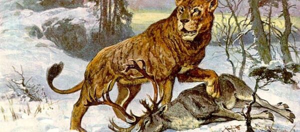 Leão-das-cavernas - Sputnik Brasil