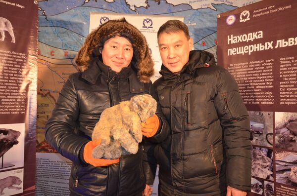 Cientistas com filhotes congelados de leão-das-cavernas encontrados na Rússia - Sputnik Brasil