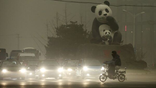 Um cidadão de Pequim está perto do monumento famoso de pandas na área Wangjing. 1 de dezembro, 2015 - Sputnik Brasil