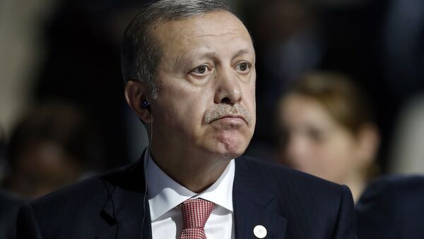 Presidente turco Recep Tayyip Erdogan na Conferência Climática em Paris, 30 de novembro de 2015 - Sputnik Brasil
