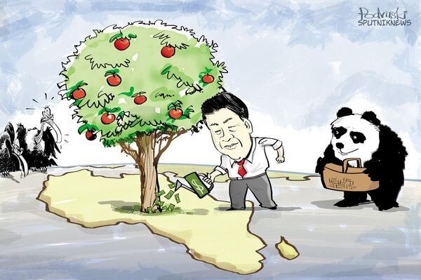 O novo pacote dos investimentos chinês em África constitui 74 bilhões de dólares. Este é um dos resultados da missão africana do presidente chinês Xi Jinping.  - Sputnik Brasil