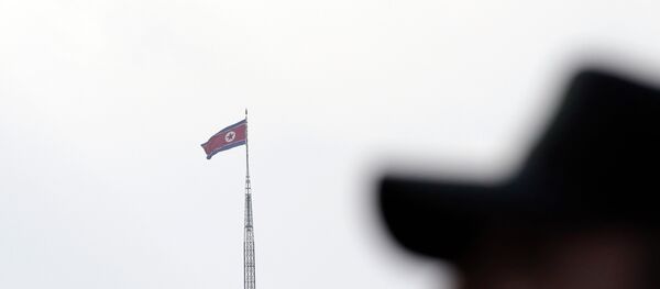 Um militar norte-coreano junto à bandeira nacional - Sputnik Brasil
