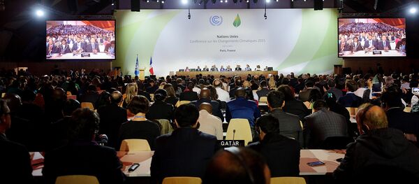 Texto final da COP 21 é apresentado aos delegados dos países. Texto final da COP 21 é apresentado aos delegados dos países. - Sputnik Brasil