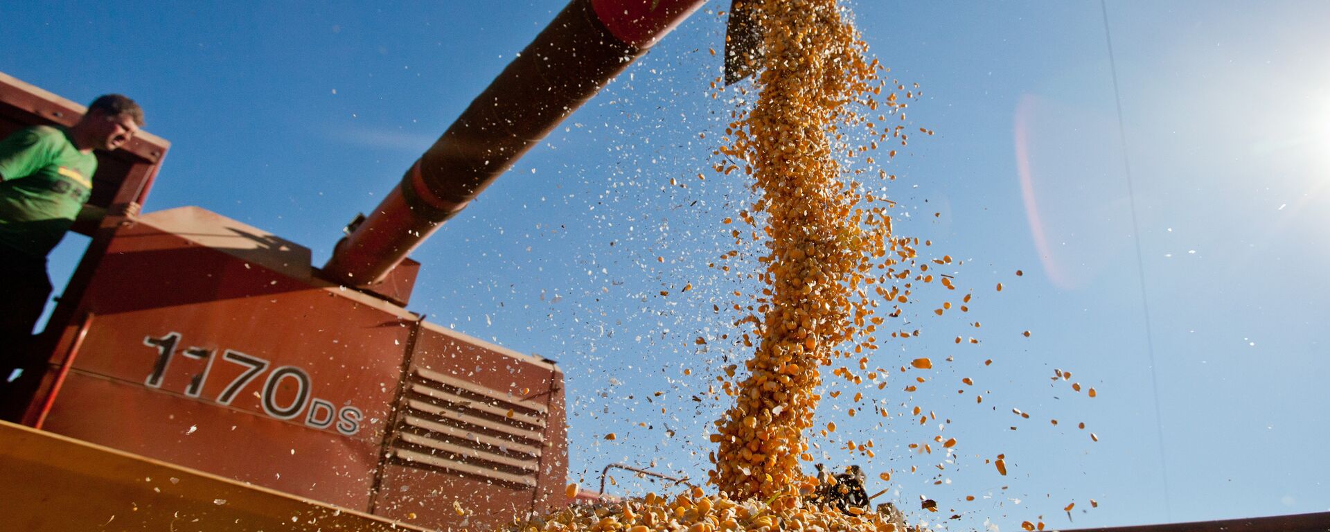 Agricultura brasileira - Sputnik Brasil, 1920, 22.04.2026