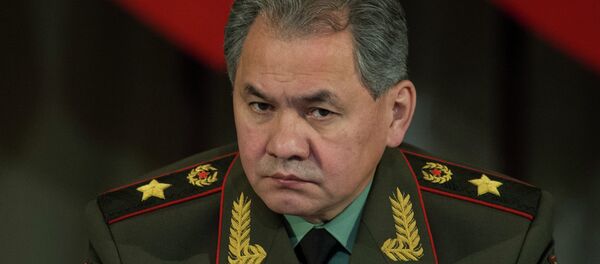 Russia's Defense Minister Sergei Shoigu - Sputnik Brasil