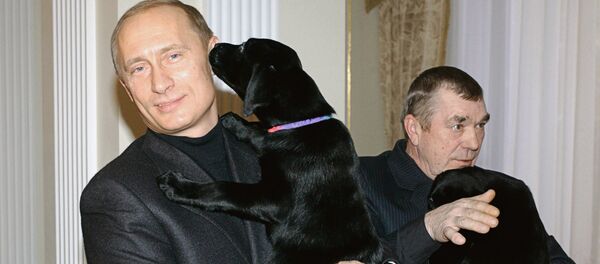 Russian President Vladimir Putin presented a 11-year-old schoolgirl from Kursk Anna Abramova with a Labrador puppy - Sputnik Brasil