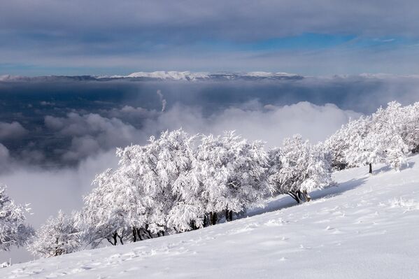 Beleza congelada: paisagens de inverno ao redor do mundo - Sputnik Brasil