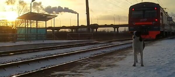 Ferrovia na Rússia - Sputnik Brasil