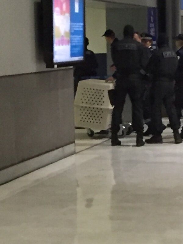 Cachorrinho Dobrynya é recebido pelos policiais franceses no Aeroporto Charles de Gaulle em Paris - Sputnik Brasil