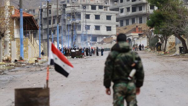Soldado de forças pro-governamentais sírias fica perto de entrada para a cidade de Aleppo, Síria, 14 de janeiro de 2016 - Sputnik Brasil
