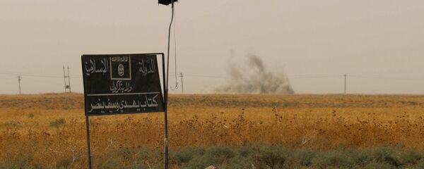 Smoke rises in the distance behind an Islamic State (IS) group flag and banner - Sputnik Brasil