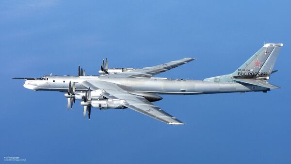 Um Tu-95 - Sputnik Brasil